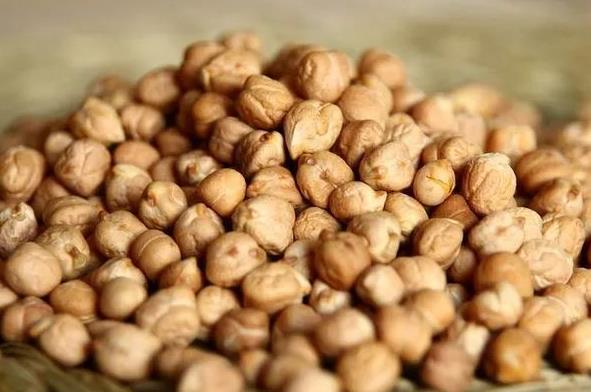 2022—23财政年度内缅甸出口鹰嘴豆获得1300万美元的收入